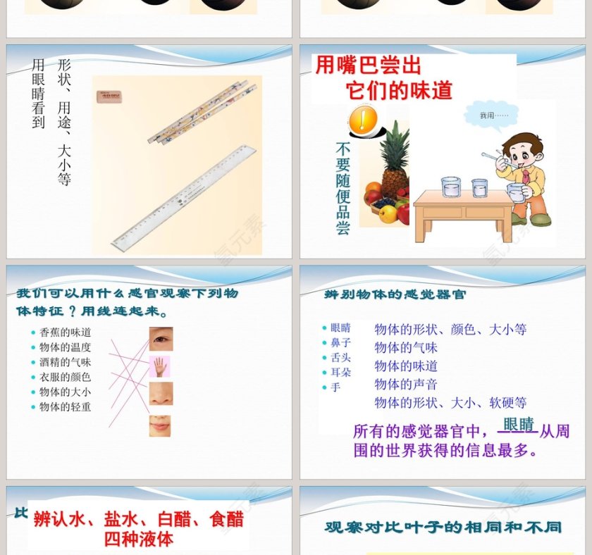 怎样认识物体-青岛版六年制三年级科学上册教学ppt课件第2张