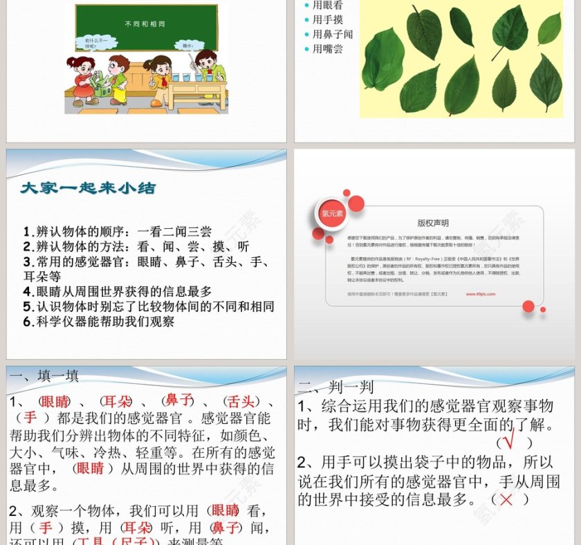 怎样认识物体-青岛版六年制三年级科学上册教学ppt课件第3张