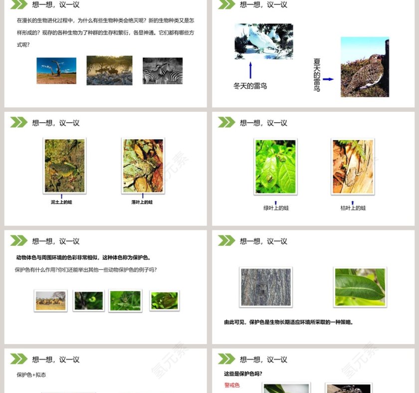 人教版初中生物八年级下册教学ppt课件第2张