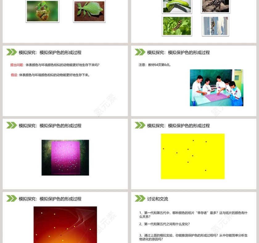 人教版初中生物八年级下册教学ppt课件第3张
