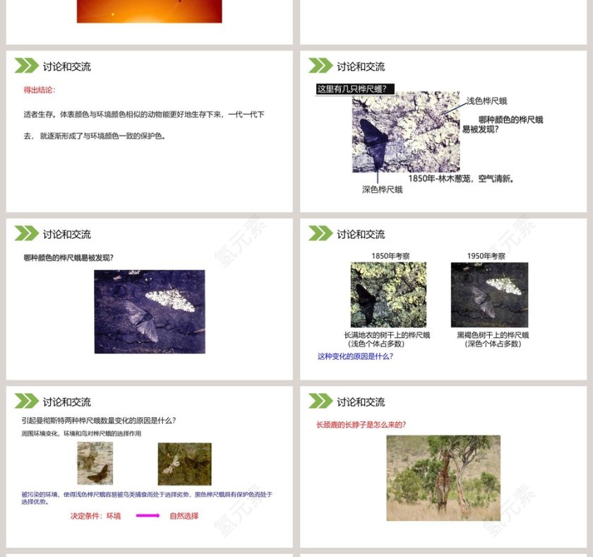 人教版初中生物八年级下册教学ppt课件第4张