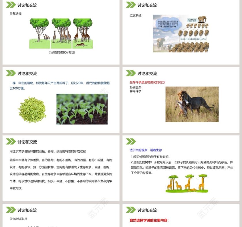人教版初中生物八年级下册教学ppt课件第5张