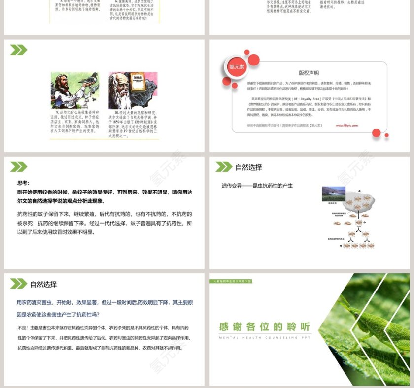 人教版初中生物八年级下册教学ppt课件第7张