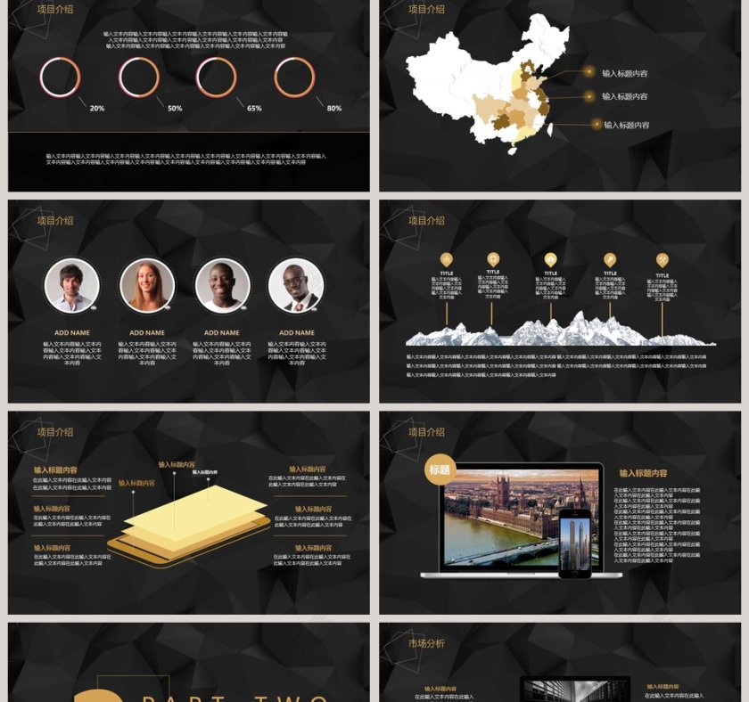 商业项目融资计划书PPT模板第2张