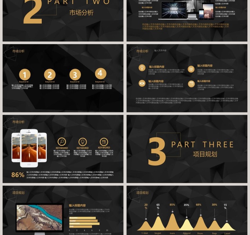 商业项目融资计划书PPT模板第3张