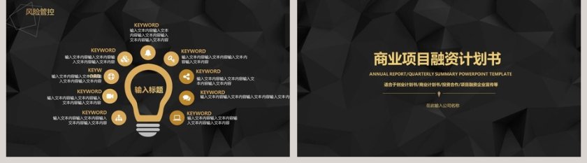 商业项目融资计划书PPT模板第5张