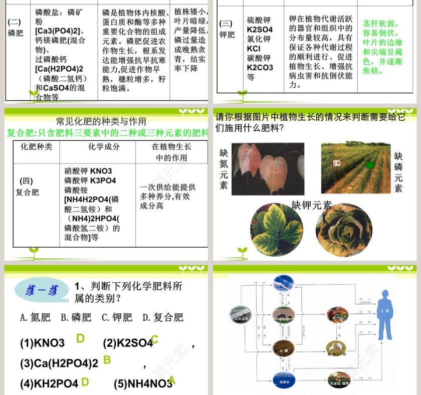 化学肥料商业规划书PPT模板第3张