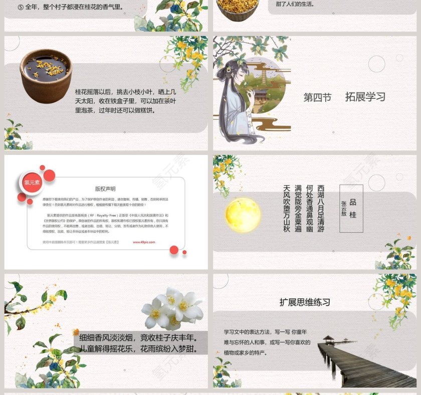 部编版五年级桂花雨语文课件PPT第4张