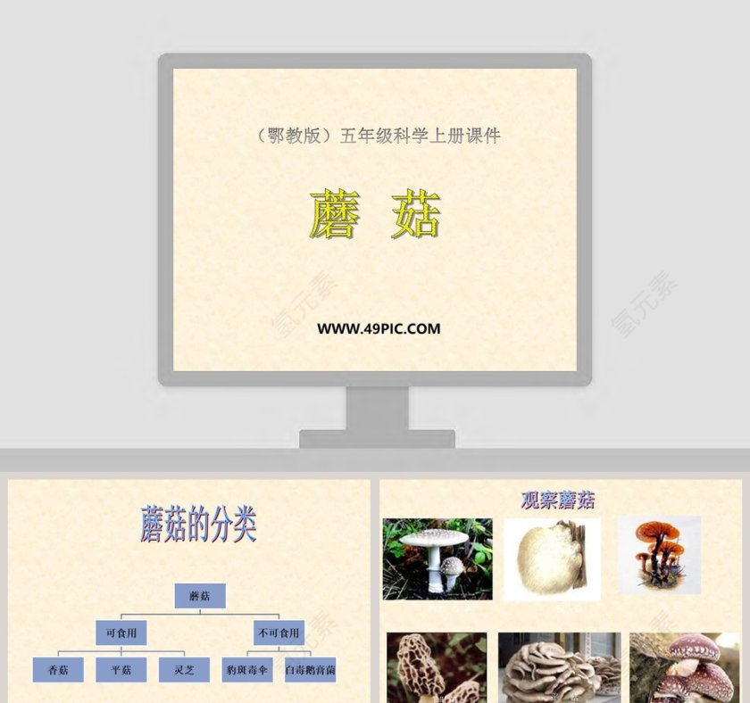 蘑菇鄂教版五年级科学上册课件PPT模板第1张