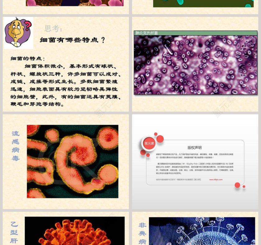 蘑菇鄂教版五年级科学上册课件PPT模板第4张