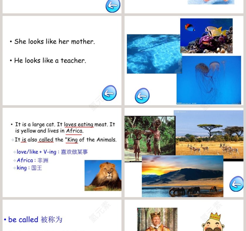 Unit-3教学ppt课件第4张