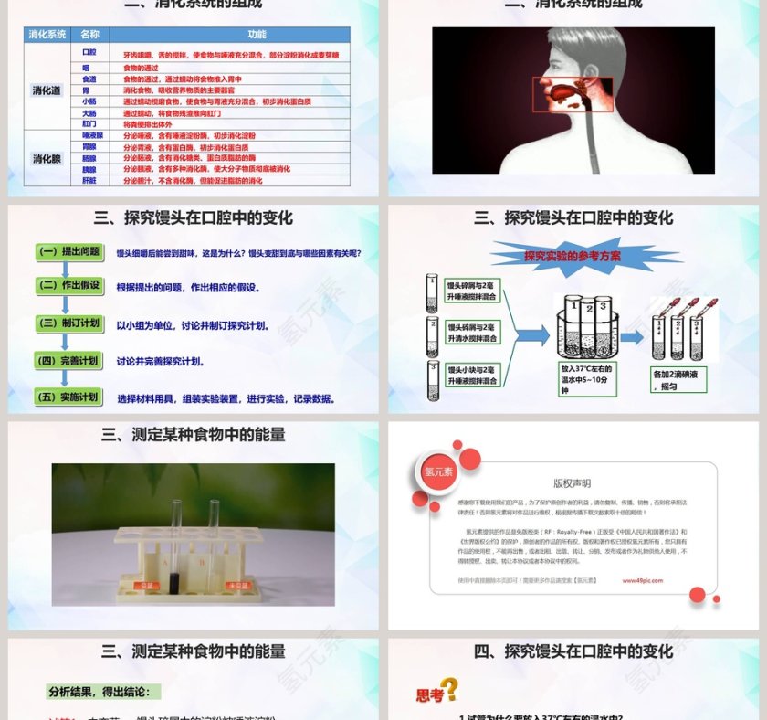 消化和吸收-第教学ppt课件第2张