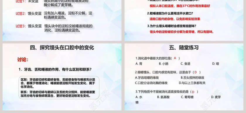 消化和吸收-第教学ppt课件第3张