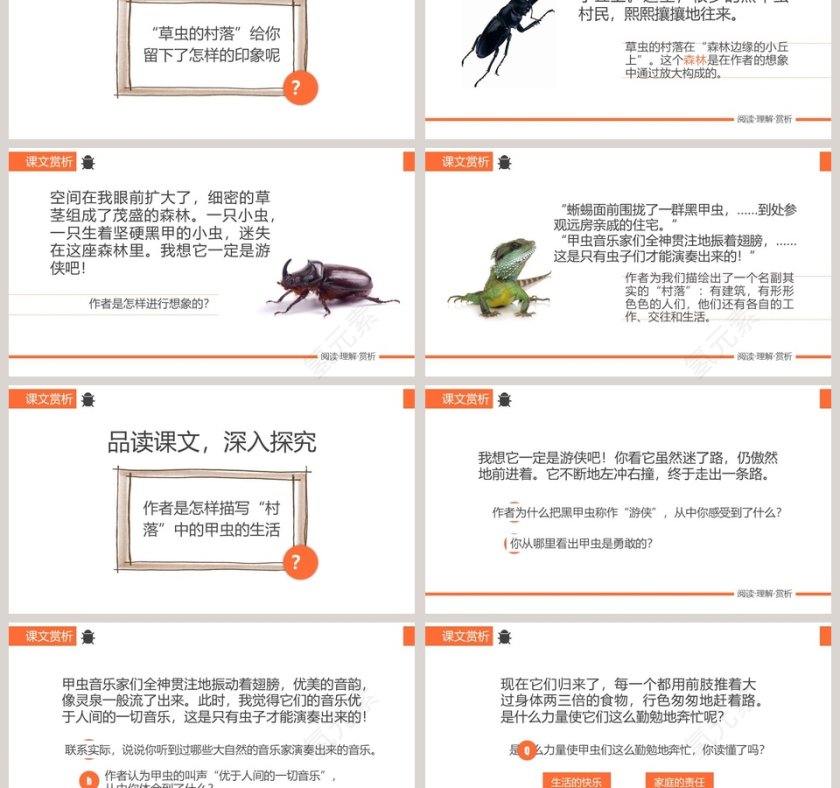 草虫的村落语文PPT课件第3张