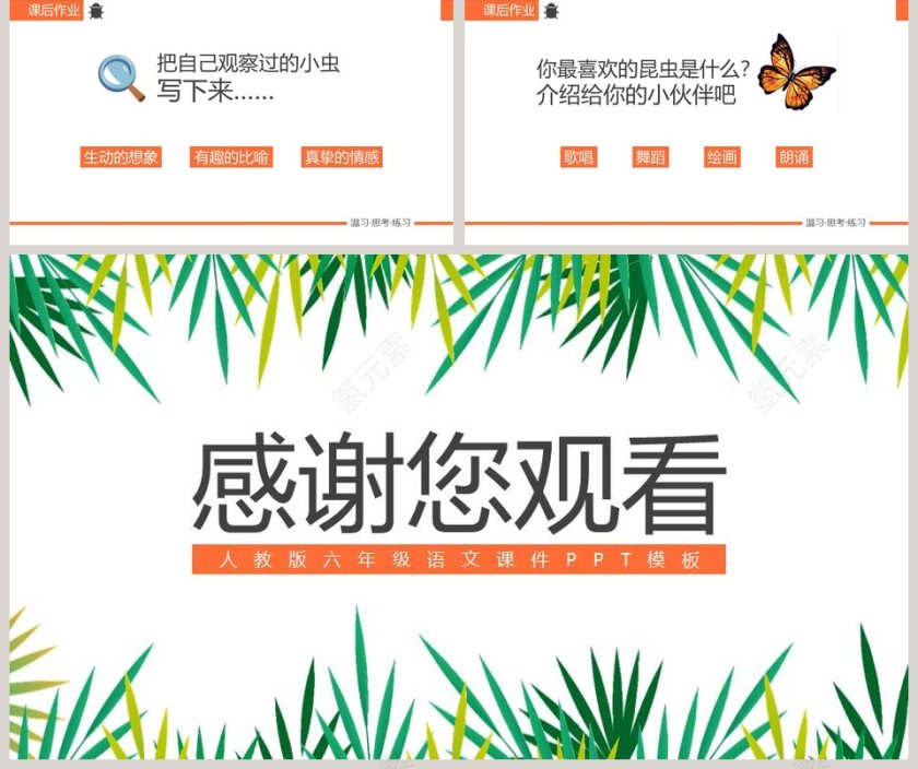 草虫的村落语文PPT课件第5张