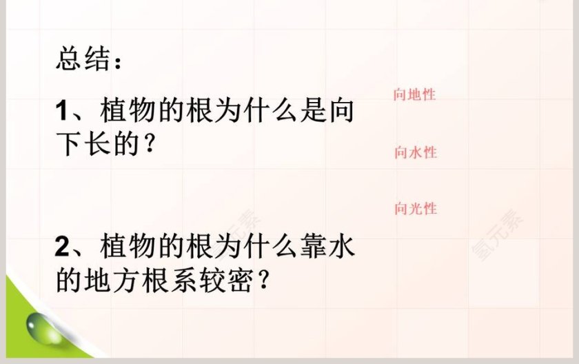 一棵顽强的小树教学ppt课件第3张