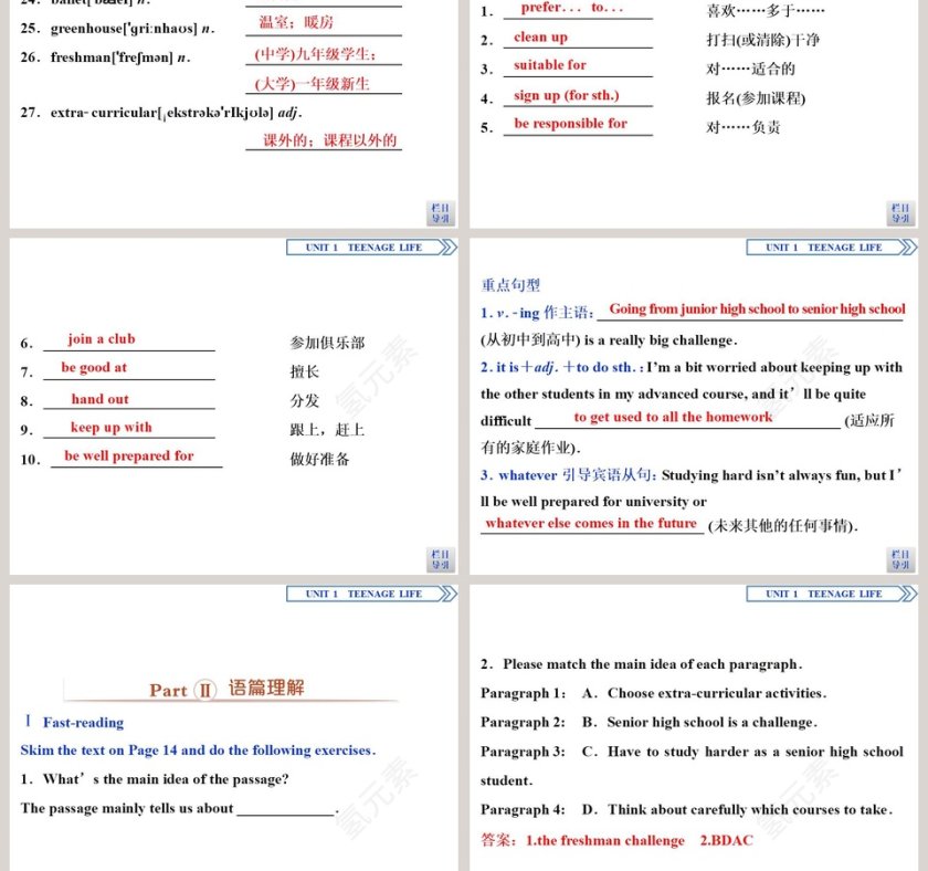 Section-Reading and Thinking教学ppt课件第3张
