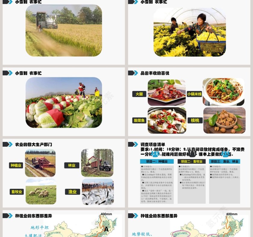 因地制宜发展农业-第四章  中国的经济与文化教学ppt课件第2张