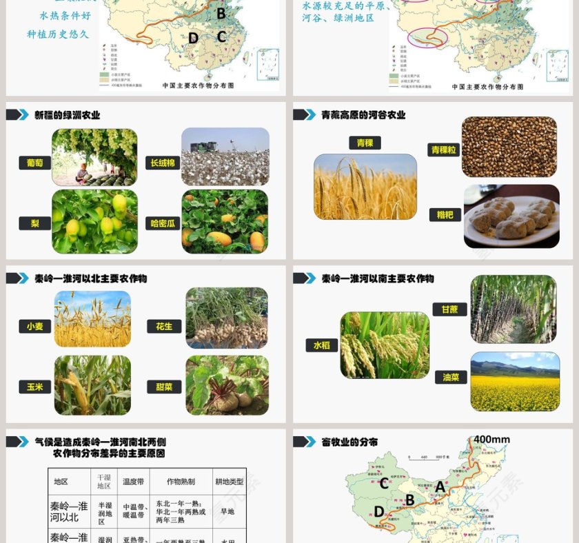 因地制宜发展农业-第四章  中国的经济与文化教学ppt课件第3张