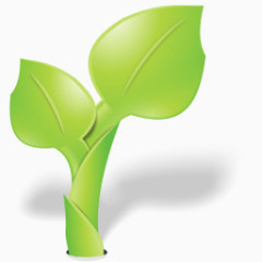 花园绿色叶自然有机植物绿色包装