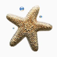 海星图标