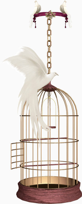 精致时尚鸟笼