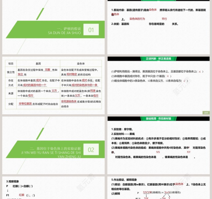 第2节基因在染色体上 - 医学护理行业PPT模板第2张