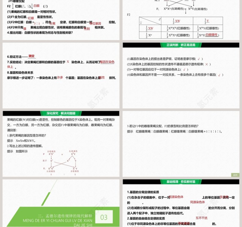 第2节基因在染色体上 - 医学护理行业PPT模板第3张