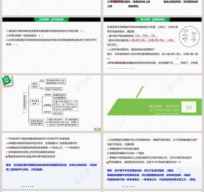 第2节基因在染色体上 - 医学护理行业PPT模板第4张