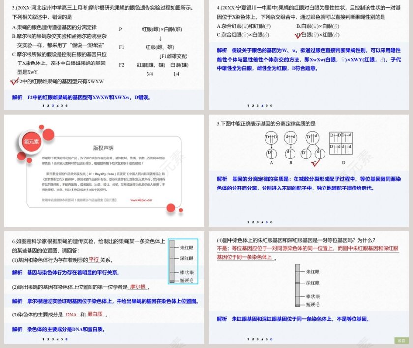 第2节基因在染色体上 - 医学护理行业PPT模板第5张