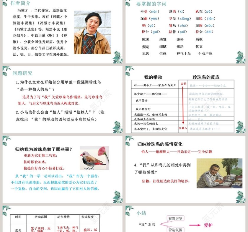珍珠鸟第一单元语文PPT课件第2张