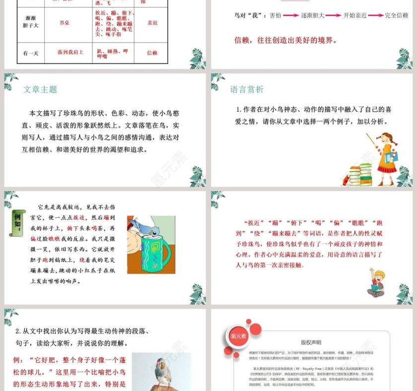 珍珠鸟第一单元语文PPT课件第3张