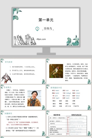 珍珠鸟第一单元语文PPT课件