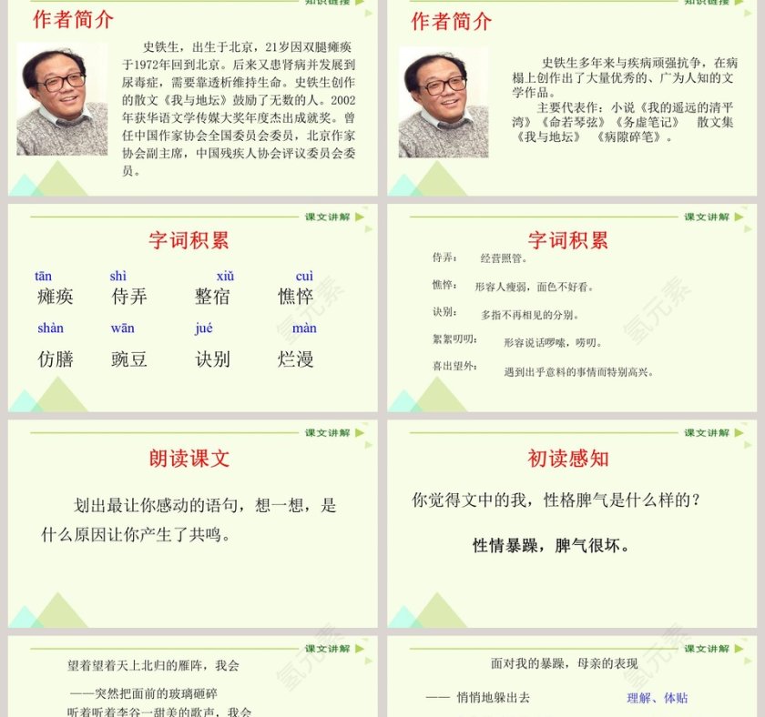 人教新课标七年级语文上册秋天的怀念语文课件PPT第2张