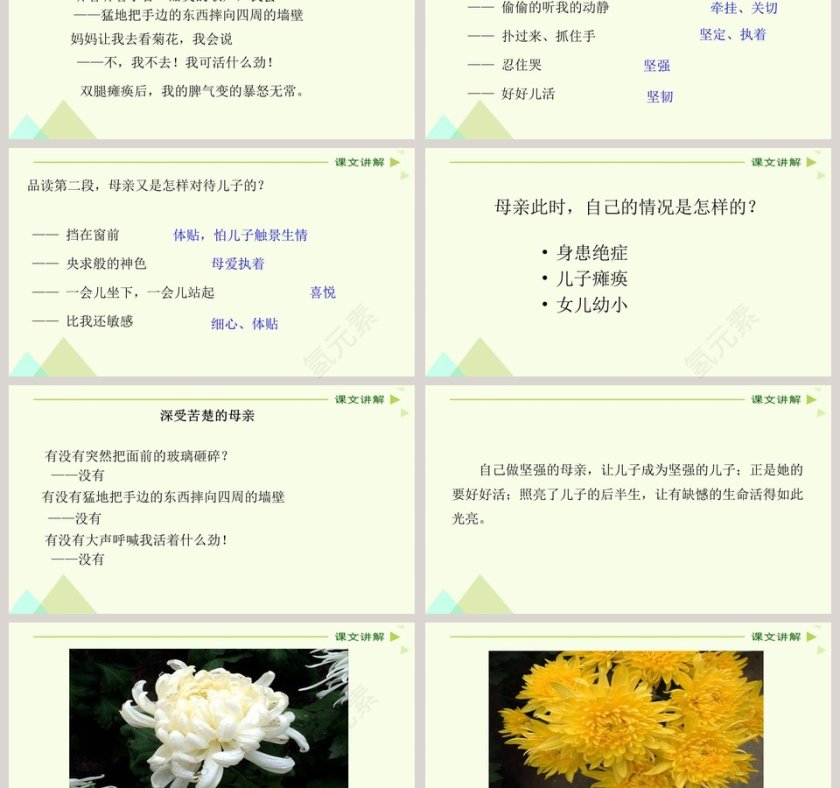 人教新课标七年级语文上册秋天的怀念语文课件PPT第3张