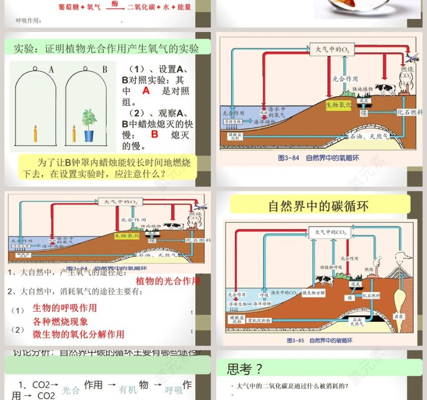 自然界中的氧循环和碳循环教学ppt课件第2张