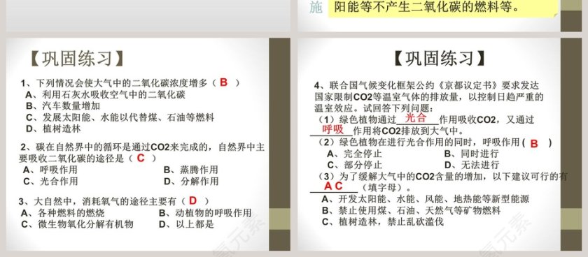 自然界中的氧循环和碳循环教学ppt课件第4张