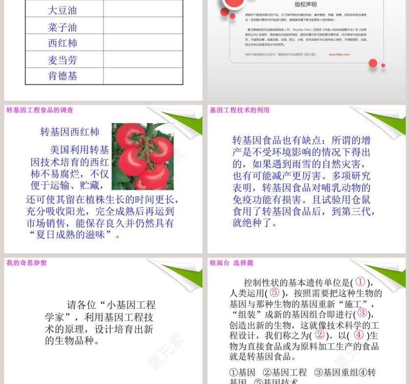 神奇的基因工程教学ppt课件第3张