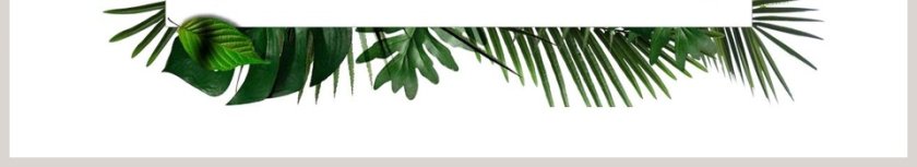 清新教师说课PPT模板第6张