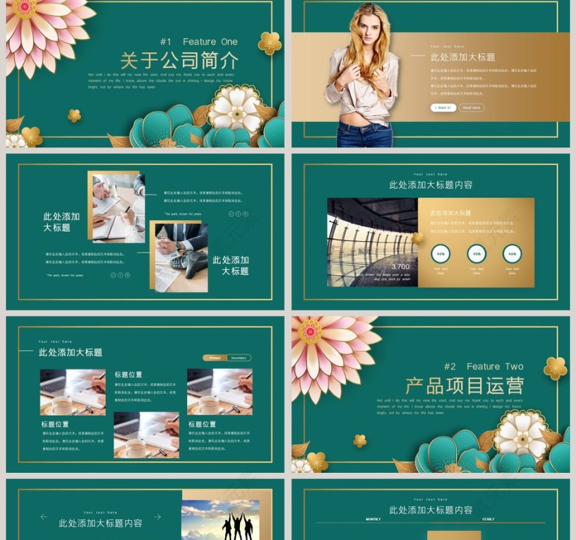 高端商务项目计划书swot分析第2张