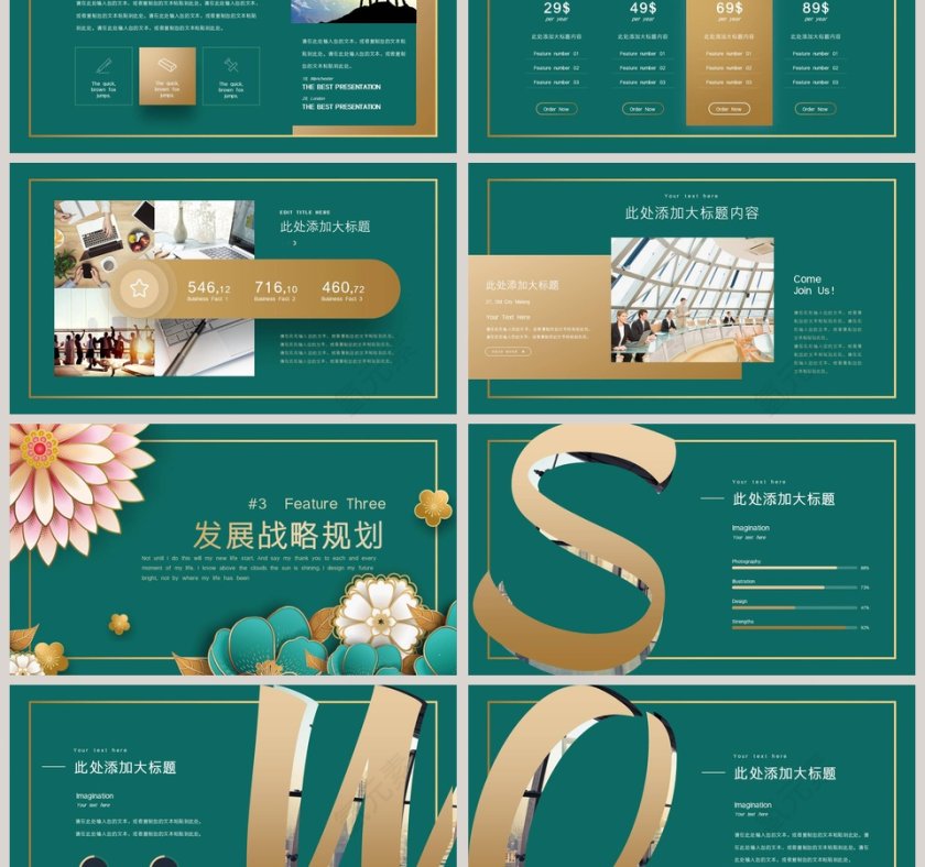 高端商务项目计划书swot分析第3张