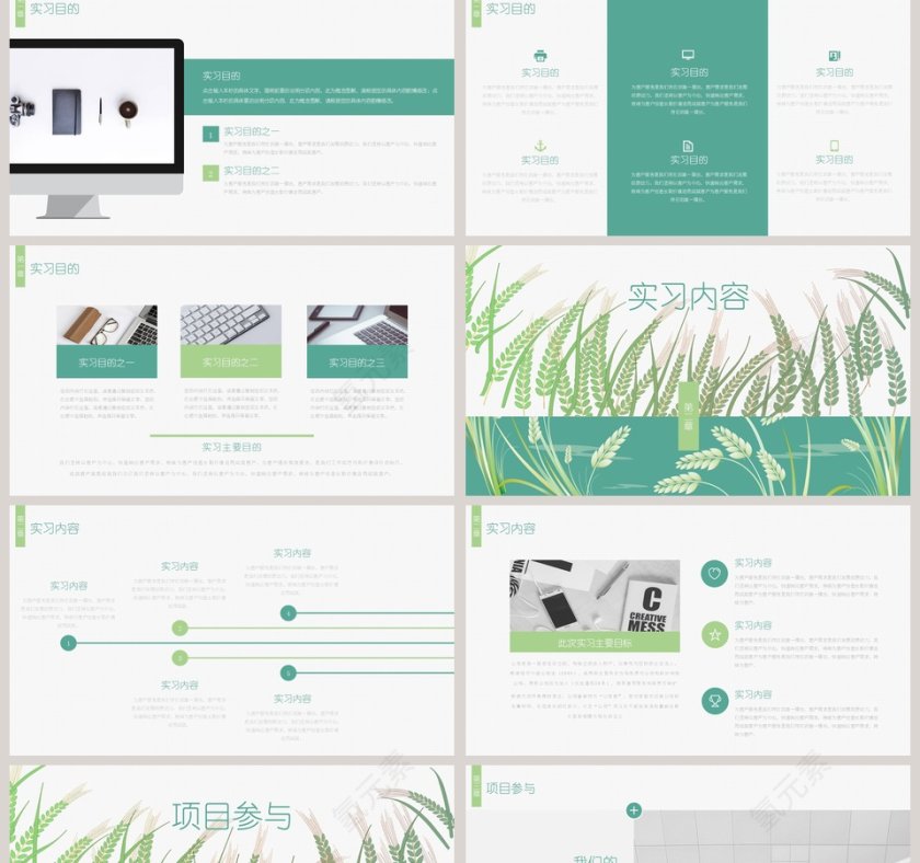 简约清新大学生实践报告PPT第2张
