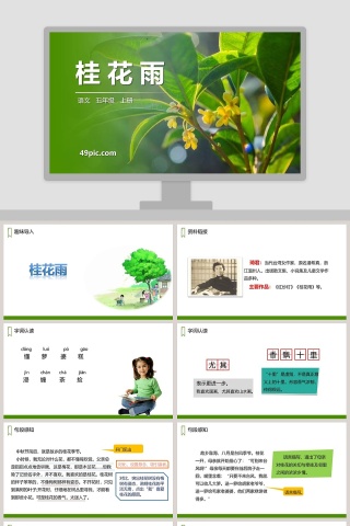 课文解读五年级语文上册桂花雨语文课件PPT