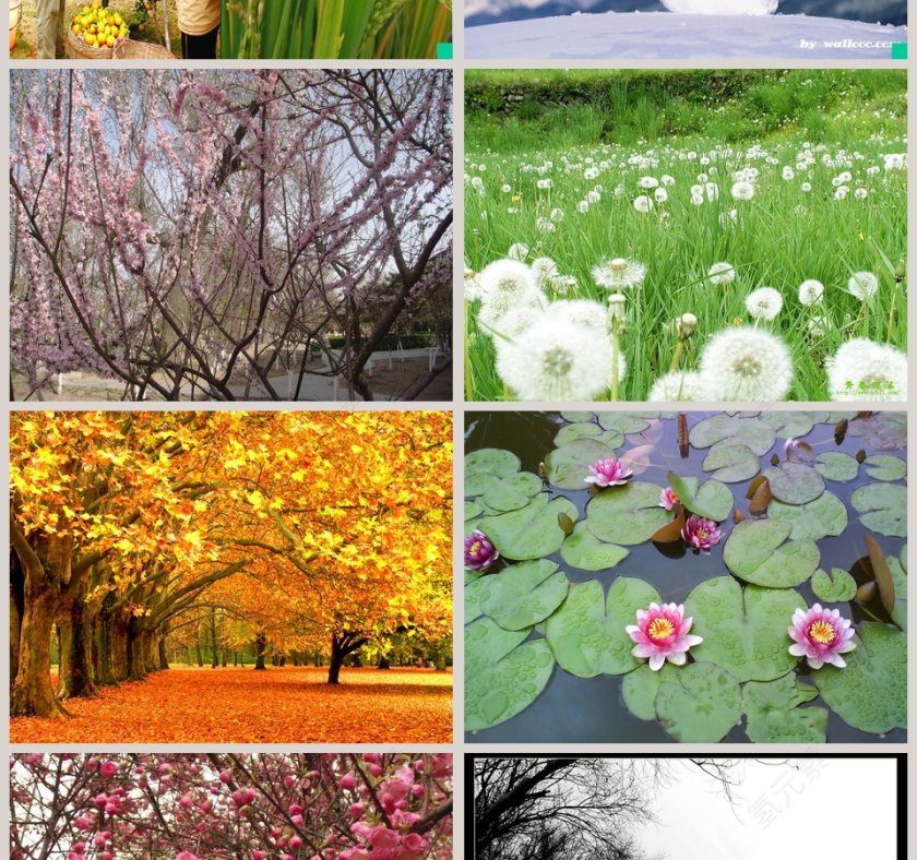 春夏秋季产品发布PPT模板大全第2张