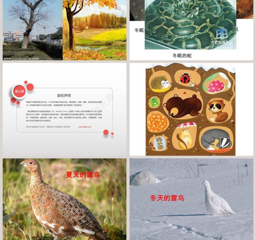 春夏秋季产品发布PPT模板大全第5张