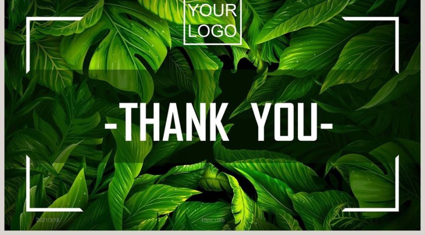 绿色叶子背景总结汇报PPT模板第5张