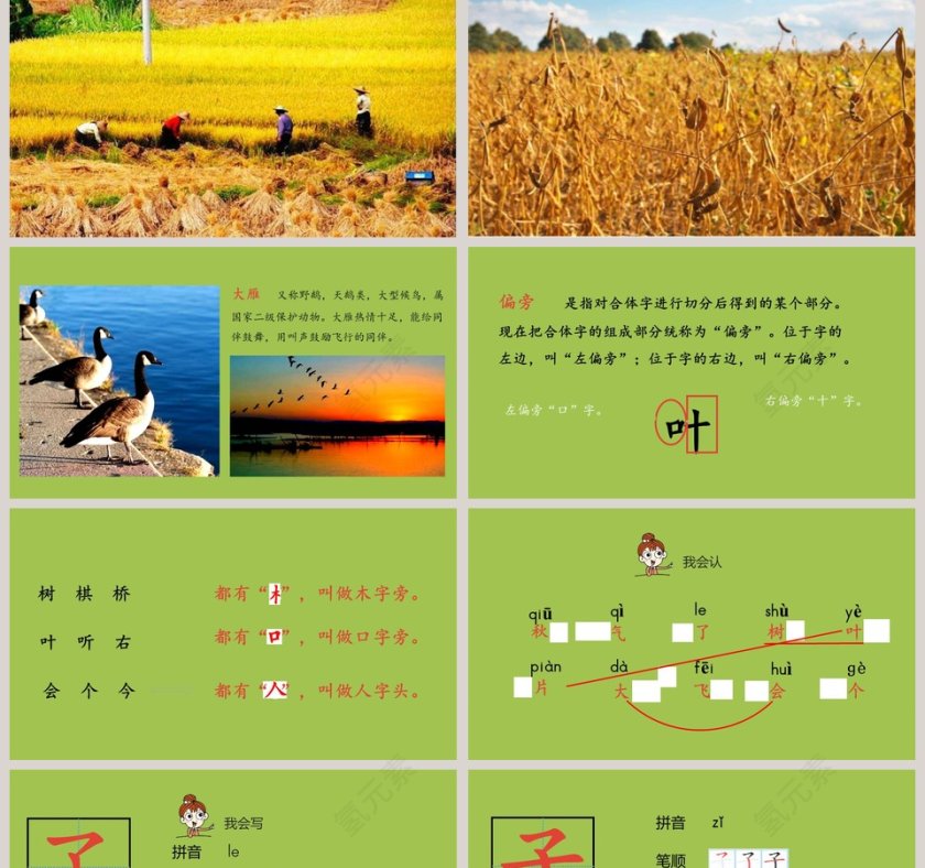 课文解析秋天语文课件PPT第2张