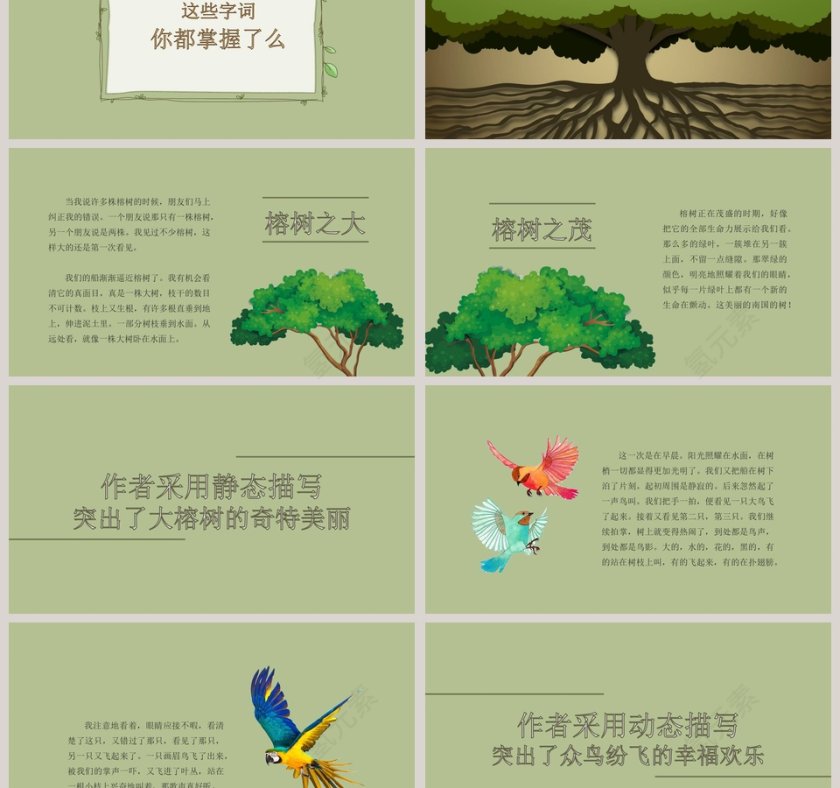 四年级语文课件《鸟的天堂》PPT第3张