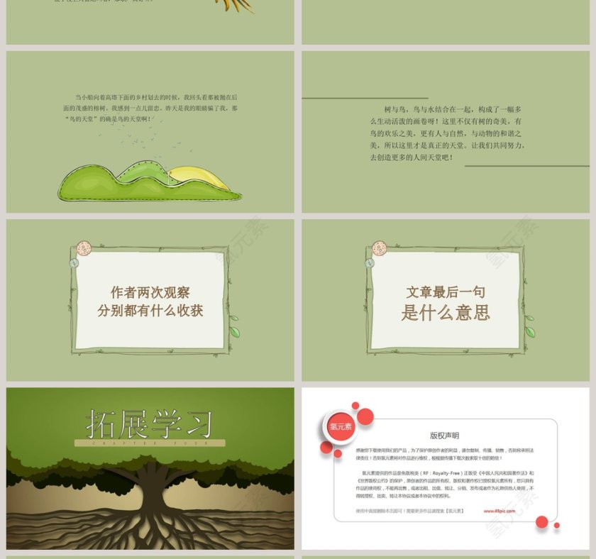 四年级语文课件《鸟的天堂》PPT第4张