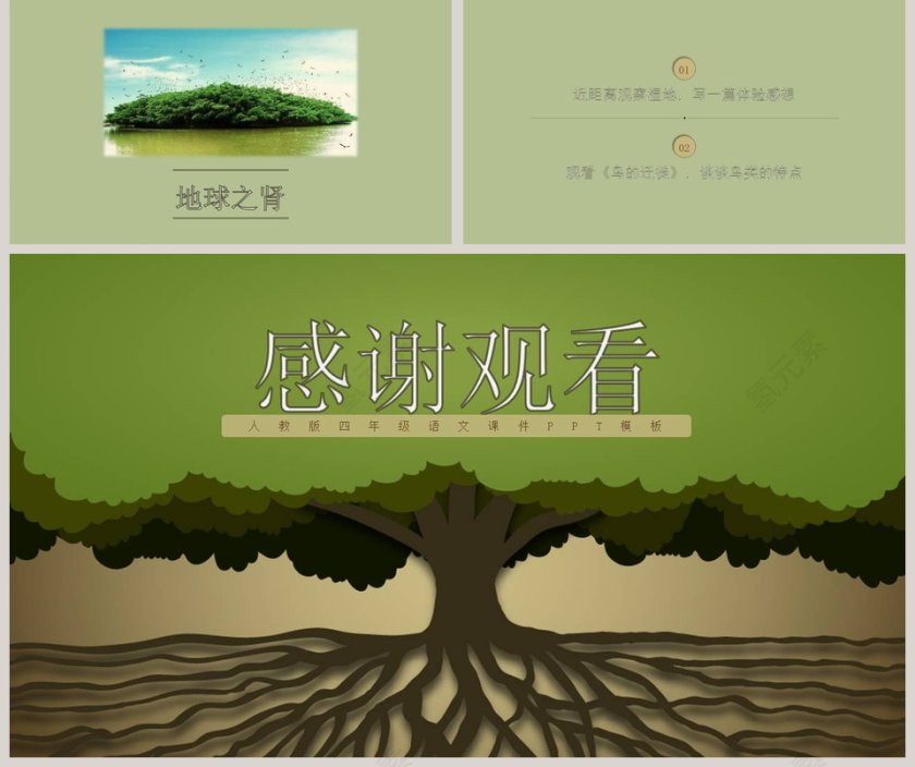 四年级语文课件《鸟的天堂》PPT第5张